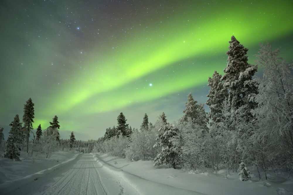 White Winter Lapland - Aurora borealis image