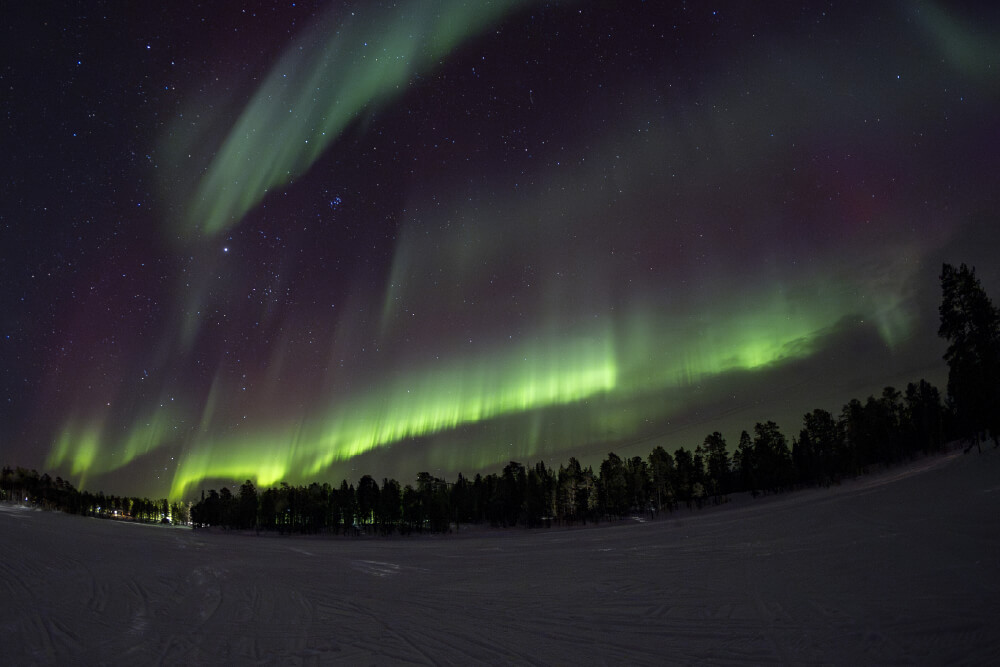 White Winter Lapland - Northern lights image